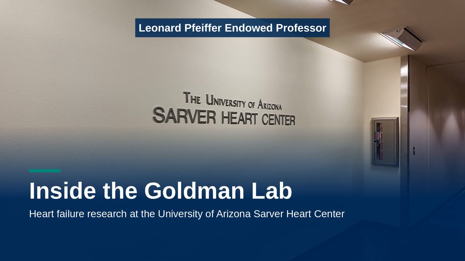 Inside the Goldman Lab video on heart failure research at the University of Arizona Sarver Heart Center